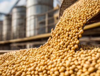 Soja segue com expectativa otimista em 2026