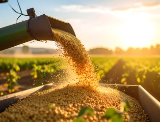Abiove projeta processamento interno inédito de soja