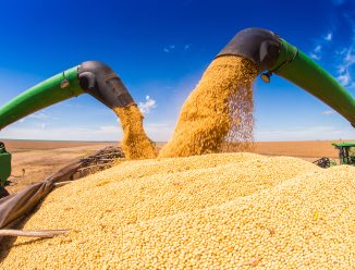 Abiove projeta safra recorde de soja