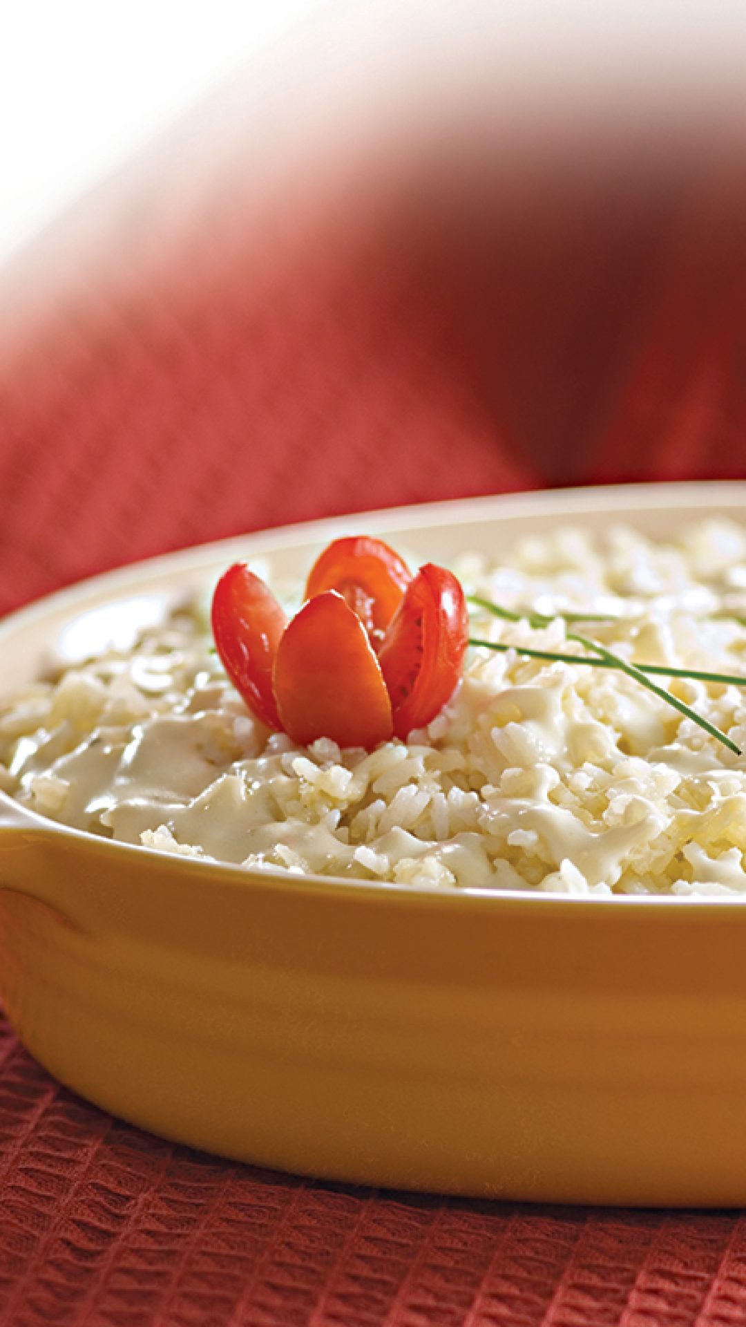Arroz-aos-Quatro-Queijos-copy